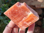 Natural Sunset Orange Rhombohedron Calcite Specimens x 6 From Spitzkop, Namibia - Toprock Gemstones and Minerals 