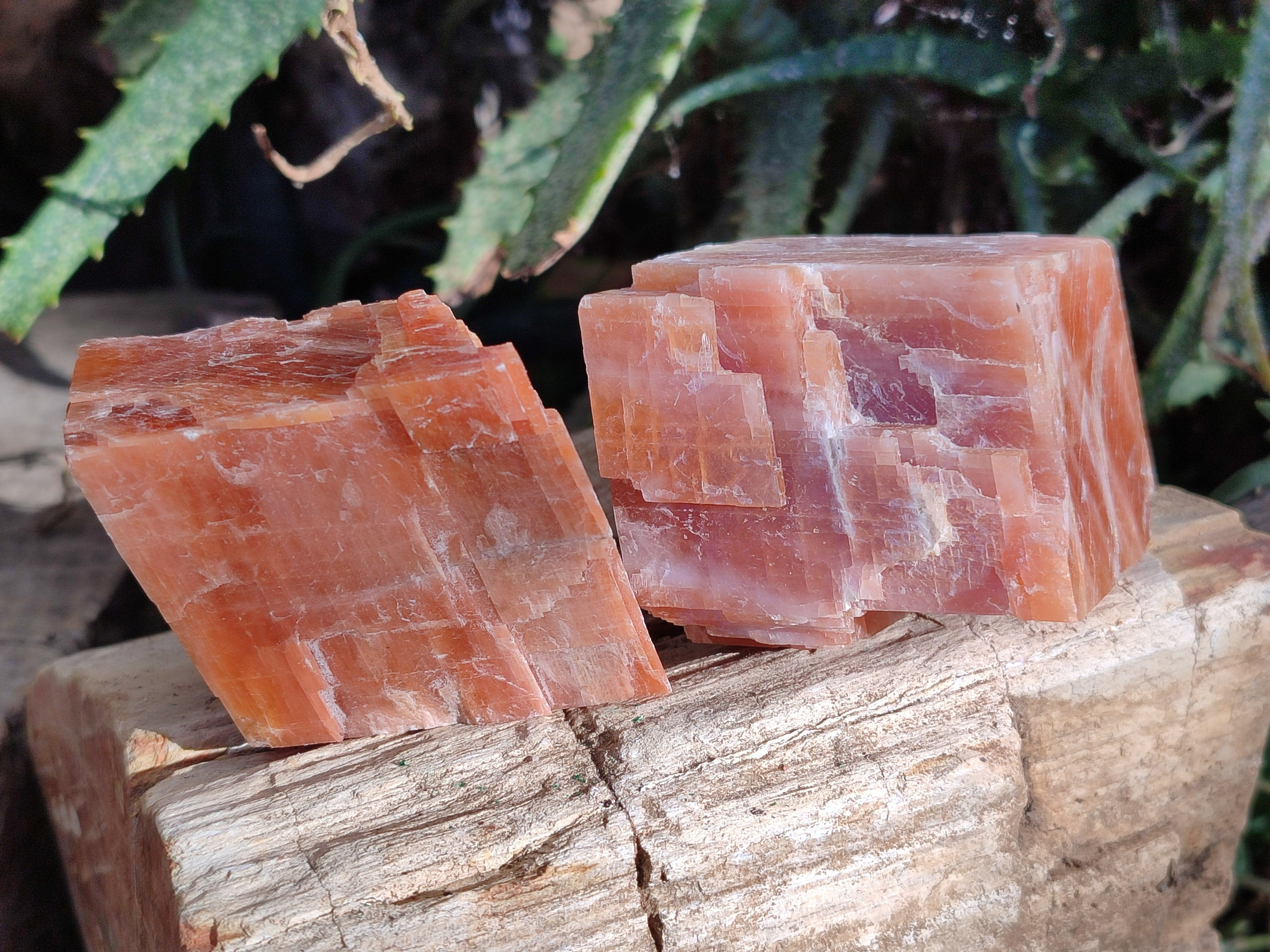 Natural Sunset Orange Rhombohedron Calcite Specimens x 6 From Spitzkop, Namibia - Toprock Gemstones and Minerals 
