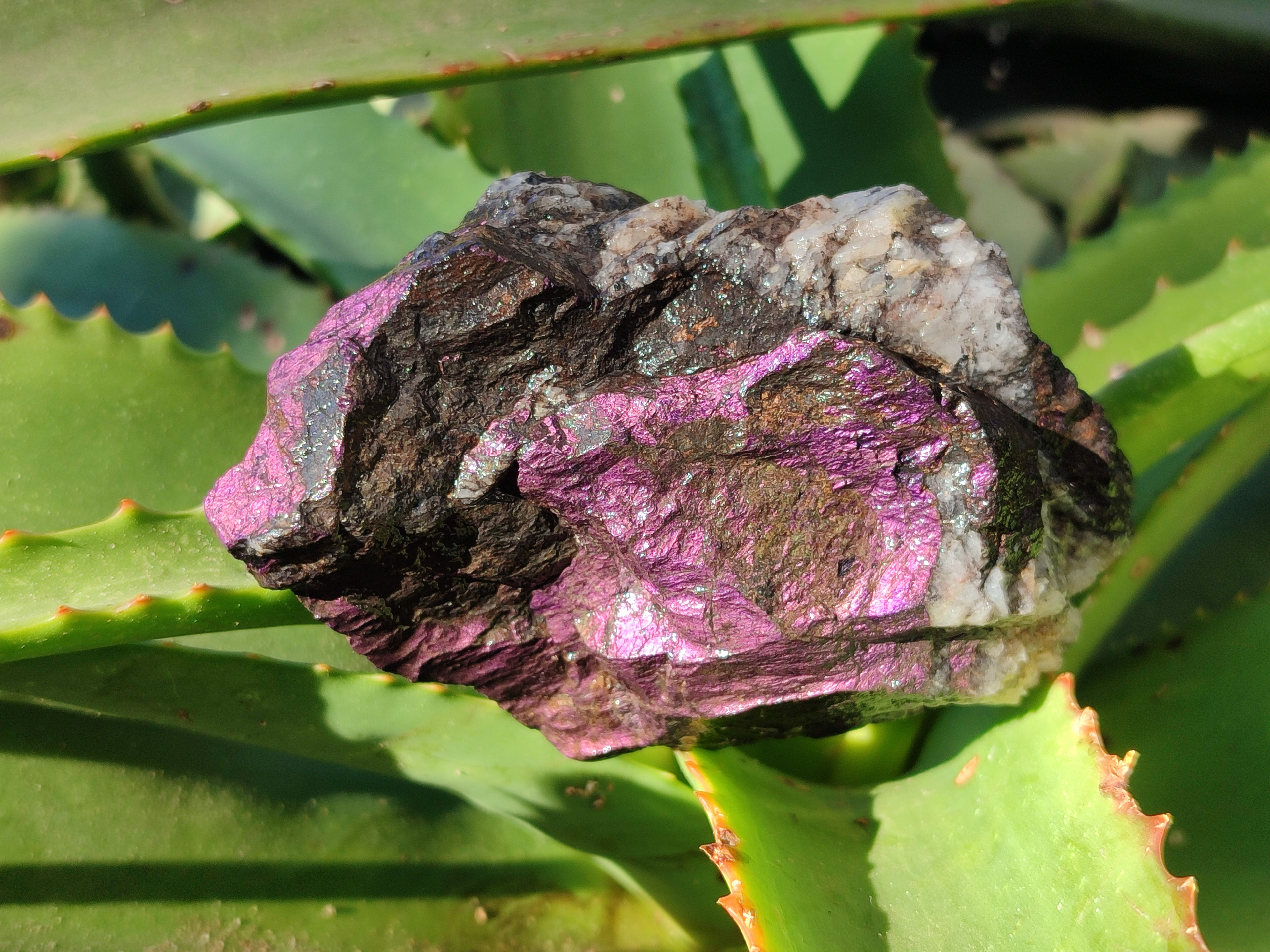 Natural Metallic Purpurite Cobbed Specimens x 3 From Erongo, Namibia - Toprock Gemstones and Minerals 