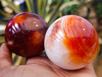 Polished Carnelian Agate Spheres x 6 From Madagascar - Toprock Gemstones and Minerals 