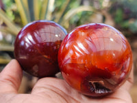 Polished Carnelian Agate Spheres x 6 From Madagascar - Toprock Gemstones and Minerals 