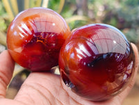 Polished Carnelian Agate Spheres x 6 From Madagascar - Toprock Gemstones and Minerals 