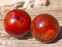 Polished Carnelian Agate Spheres x 6 From Madagascar - Toprock Gemstones and Minerals 
