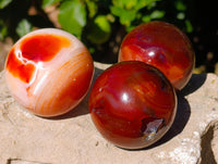 Polished Carnelian Agate Spheres x 6 From Madagascar - Toprock Gemstones and Minerals 