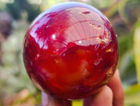Polished Carnelian Agate Spheres x 6 From Madagascar - Toprock Gemstones and Minerals 