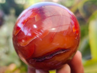 Polished Carnelian Agate Spheres x 6 From Madagascar - Toprock Gemstones and Minerals 
