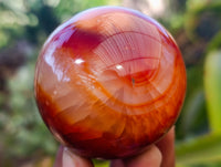 Polished Carnelian Agate Spheres x 6 From Madagascar - Toprock Gemstones and Minerals 