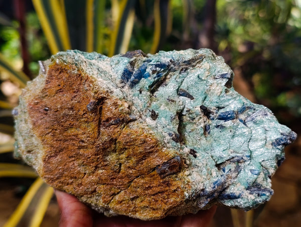 Natural Blue Kyanite In Fuchsite Matrix Specimens x 2 From Zimbabwe