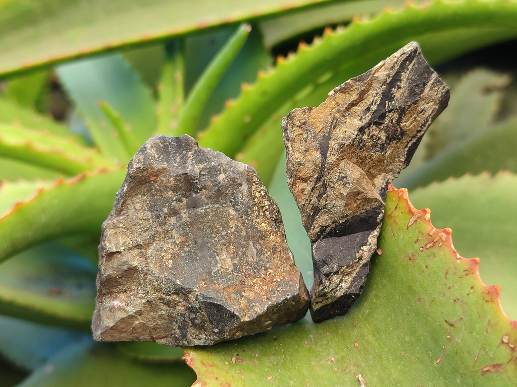 Natural Rare Pharaoh Stone Pyrite in Basalt Cobbed Specimens x 24 From Iron Duke Mine, Zimbabwe - Toprock Gemstones and Minerals 