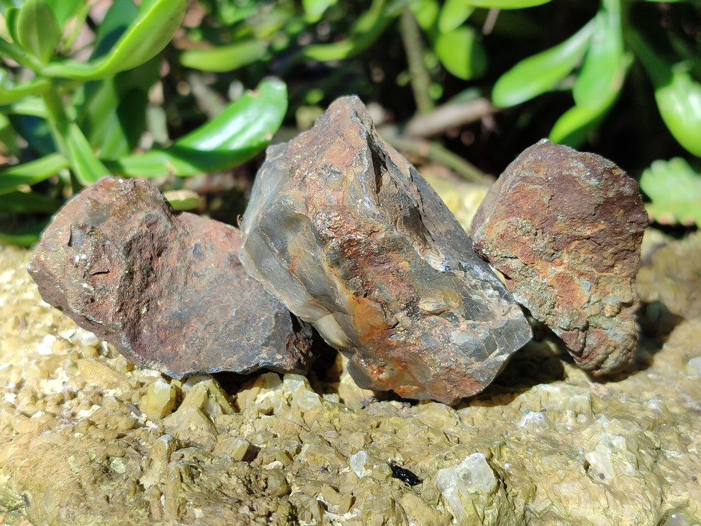 Natural Rare Pharaoh Stone Pyrite in Basalt Cobbed Specimens x 24 From Iron Duke Mine, Zimbabwe - Toprock Gemstones and Minerals 