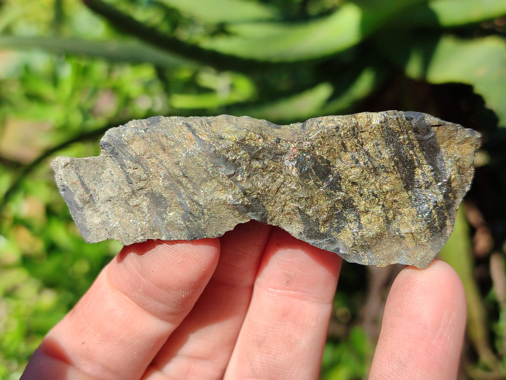 Natural Rare Pharaoh Stone Pyrite in Basalt Cobbed Specimens x 24 From Iron Duke Mine, Zimbabwe - Toprock Gemstones and Minerals 