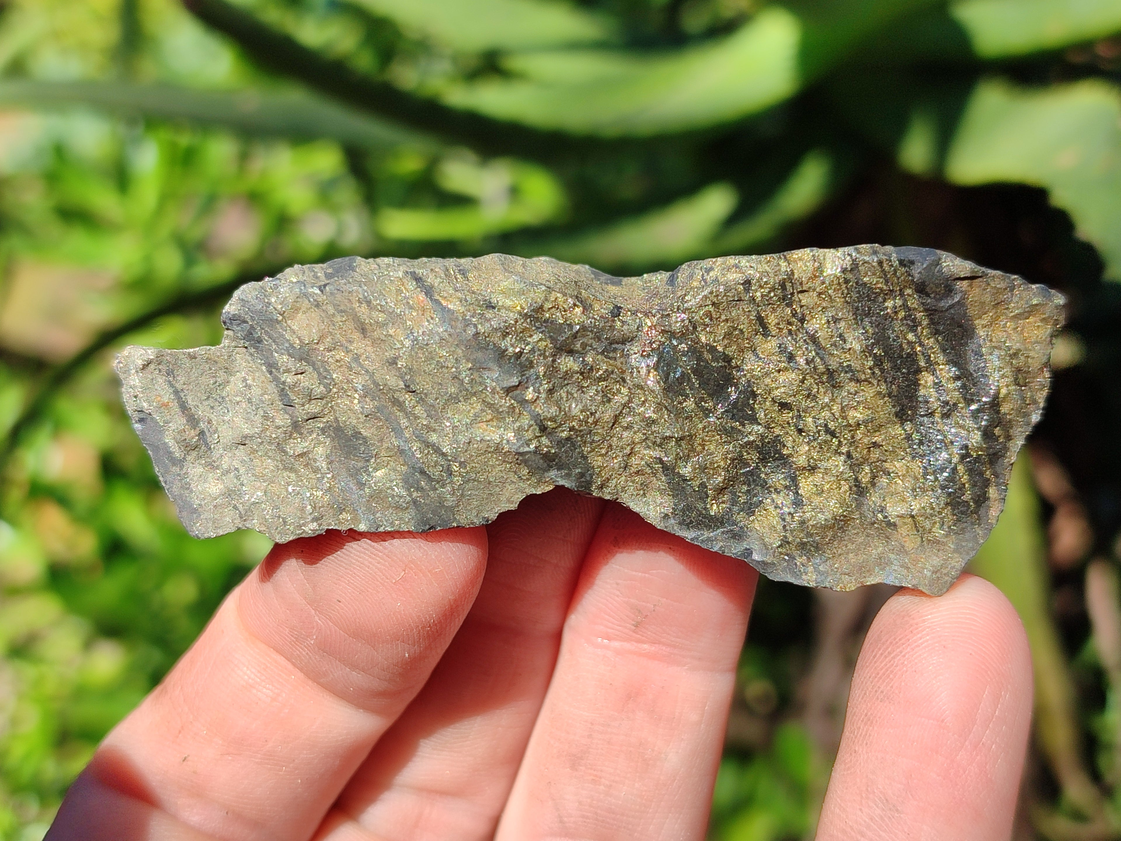 Natural Rare Pharaoh Stone Pyrite in Basalt Cobbed Specimens x 24 From Iron Duke Mine, Zimbabwe - Toprock Gemstones and Minerals 