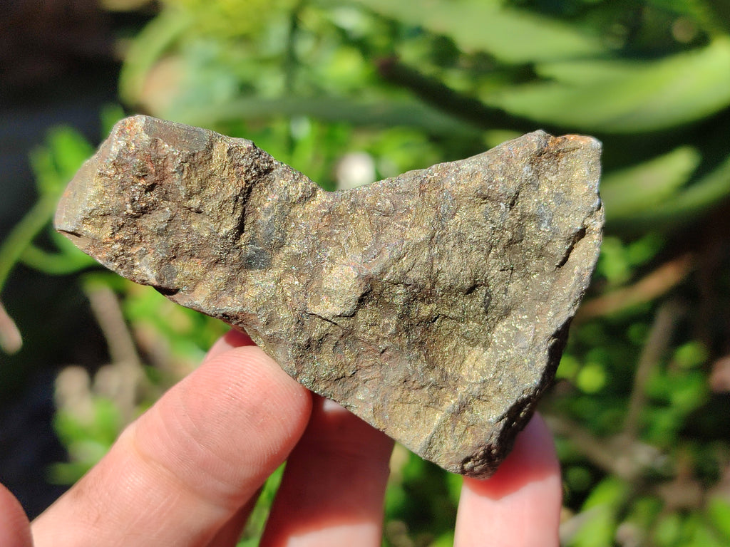 Natural Rare Pharaoh Stone Pyrite in Basalt Cobbed Specimens x 24 From Iron Duke Mine, Zimbabwe - Toprock Gemstones and Minerals 