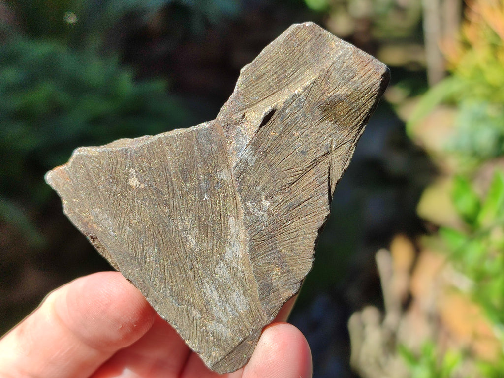 Natural Rare Pharaoh Stone Pyrite in Basalt Cobbed Specimens x 24 From Iron Duke Mine, Zimbabwe - Toprock Gemstones and Minerals 
