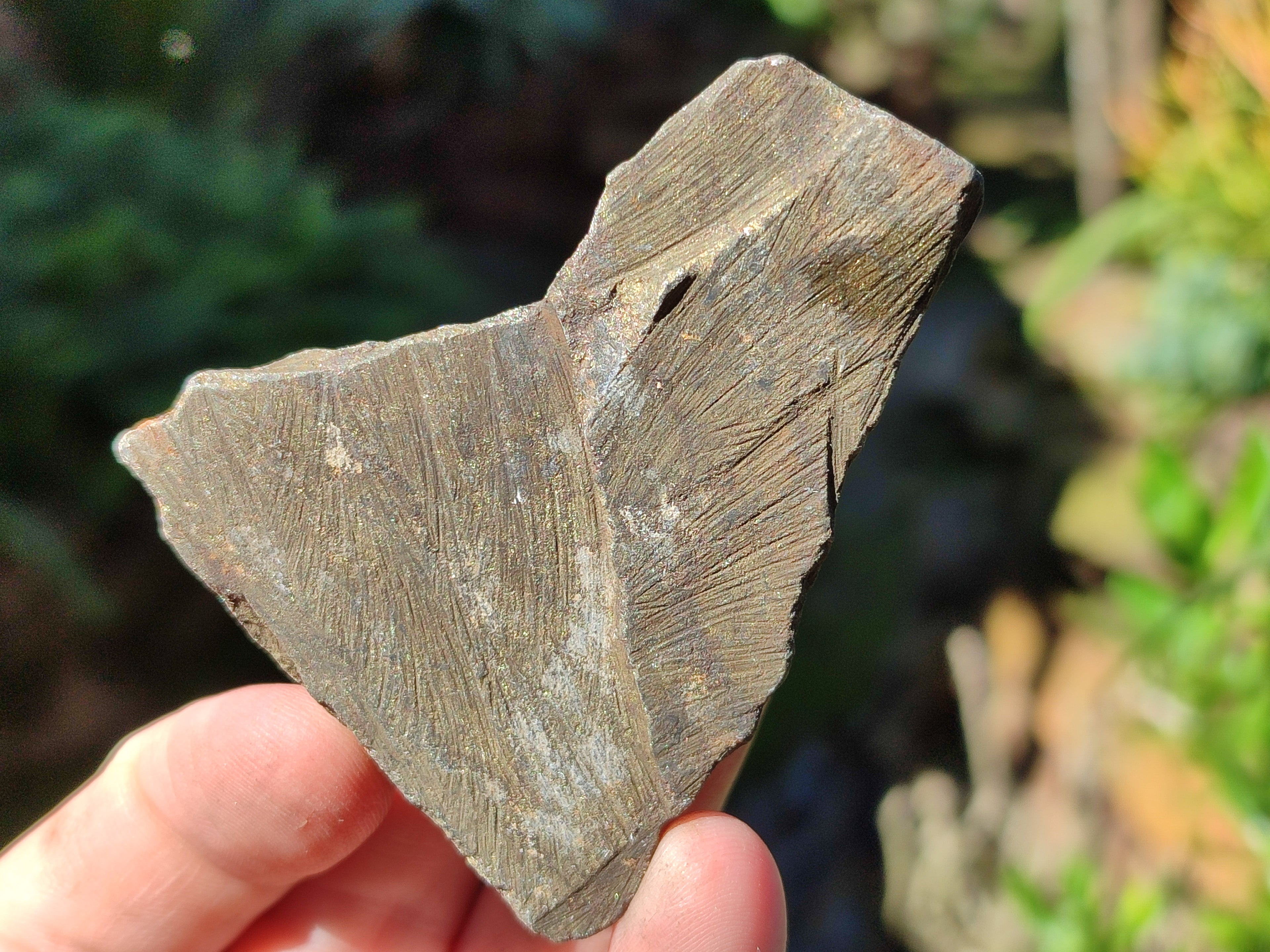 Natural Rare Pharaoh Stone Pyrite in Basalt Cobbed Specimens x 24 From Iron Duke Mine, Zimbabwe - Toprock Gemstones and Minerals 