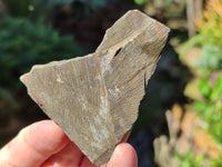 Natural Rare Pharaoh Stone Pyrite in Basalt Cobbed Specimens x 24 From Iron Duke Mine, Zimbabwe