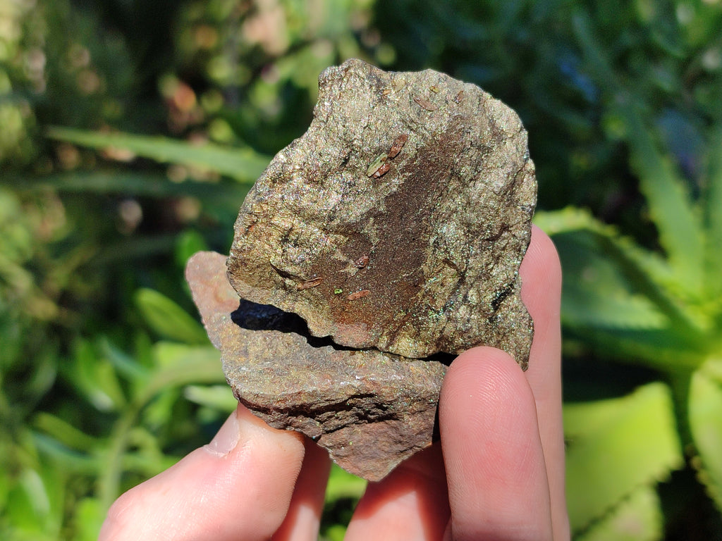 Natural Rare Pharaoh Stone Pyrite in Basalt Cobbed Specimens x 24 From Iron Duke Mine, Zimbabwe - Toprock Gemstones and Minerals 