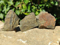 Natural Rare Pharaoh Stone Pyrite in Basalt Cobbed Specimens x 24 From Iron Duke Mine, Zimbabwe - Toprock Gemstones and Minerals 