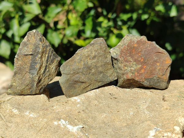 Natural Rare Pharaoh Stone Pyrite in Basalt Cobbed Specimens x 24 From Iron Duke Mine, Zimbabwe