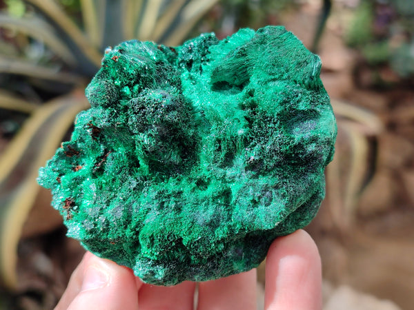 Natural Silky Malachite Specimens x 4 From Kasompe, Congo - Toprock Gemstones and Minerals 