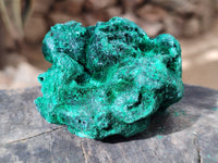 Natural Silky Malachite Specimens x 4 From Kasompe, Congo - Toprock Gemstones and Minerals 