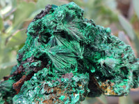 Natural Silky Malachite Specimens x 4 From Kasompe, Congo - Toprock Gemstones and Minerals 