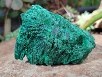 Natural Silky Malachite Specimens x 4 From Kasompe, Congo - Toprock Gemstones and Minerals 