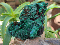 Natural Silky Malachite Specimens x 4 From Kasompe, Congo - Toprock Gemstones and Minerals 