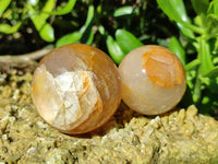Polished Golden Healer Quartz Spheres x 6 From Madagascar