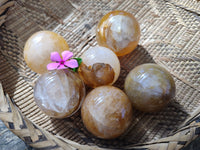 Polished Golden Healer Quartz Spheres x 6 From Madagascar