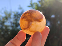 Polished Golden Healer Quartz Spheres x 6 From Madagascar