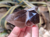 Polished Mixed Inclusion Quartz Crystals Including Rutile x 12 from Madagascar - Toprock Gemstones and Minerals 