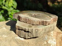Polished Petrified Wood Slices x 6 From Gokwe, Zimbabwe
