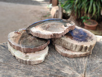 Polished Petrified Wood Slices x 6 From Gokwe, Zimbabwe
