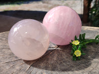 Polished Rose Quartz Spheres x 2 From Ambatondrazaka, Madagascar - Toprock Gemstones and Minerals 