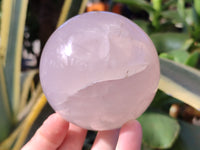 Polished Rose Quartz Spheres x 2 From Ambatondrazaka, Madagascar - Toprock Gemstones and Minerals 
