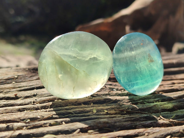Polished Green Fluorite Palm Stones x 20 From Madagascar
