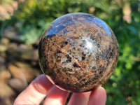 Polished Iolite Spheres x 2 From Ambatofinandrahana, Madagascar - Toprock Gemstones and Minerals 
