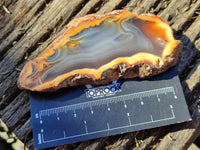 Polished Banded Agate Slices x 22 From Madagascar