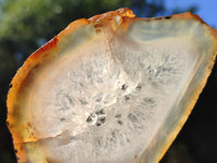 Polished Banded Agate Slices x 22 From Madagascar