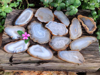 Polished Banded Agate Slices x 22 From Madagascar
