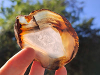 Polished Banded Agate Slices x 22 From Madagascar