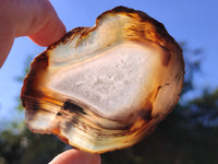 Polished Banded Agate Slices x 22 From Madagascar