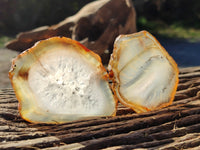 Polished Banded Agate Slices x 22 From Madagascar