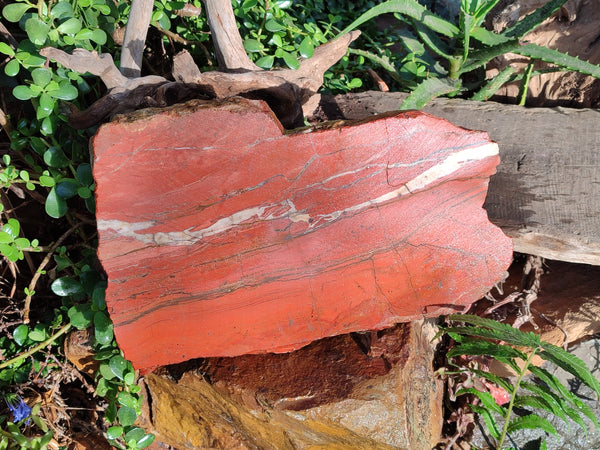 Natural Banded Red Jasper Slabbed Rough Slice x 1 From Northern Cape, South Africa
