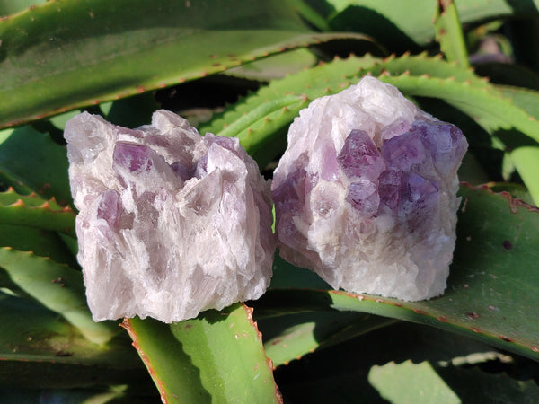 Natural Sugar Amethyst Quartz Clusters x 6 From Solwezi, Zambia