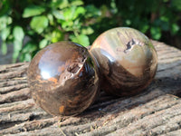 Polished Petrified Wood Balls x 3 From Gokwe, Zimbabwe