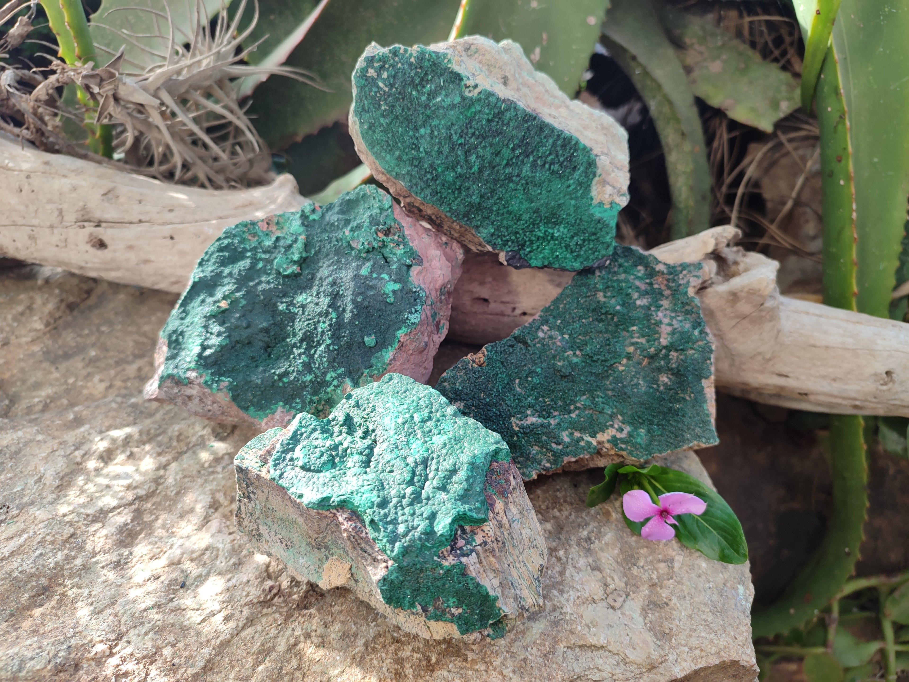 Natural Crystalline Malachite Specimens x 4 From Tenke Fungurume, Congo - Toprock Gemstones and Minerals 