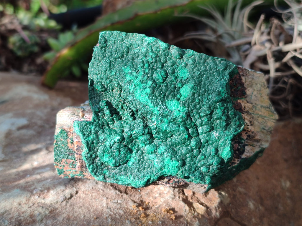 Natural Crystalline Malachite Specimens x 4 From Tenke Fungurume, Congo - Toprock Gemstones and Minerals 