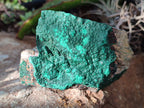Natural Crystalline Malachite Specimens x 4 From Tenke Fungurume, Congo - Toprock Gemstones and Minerals 